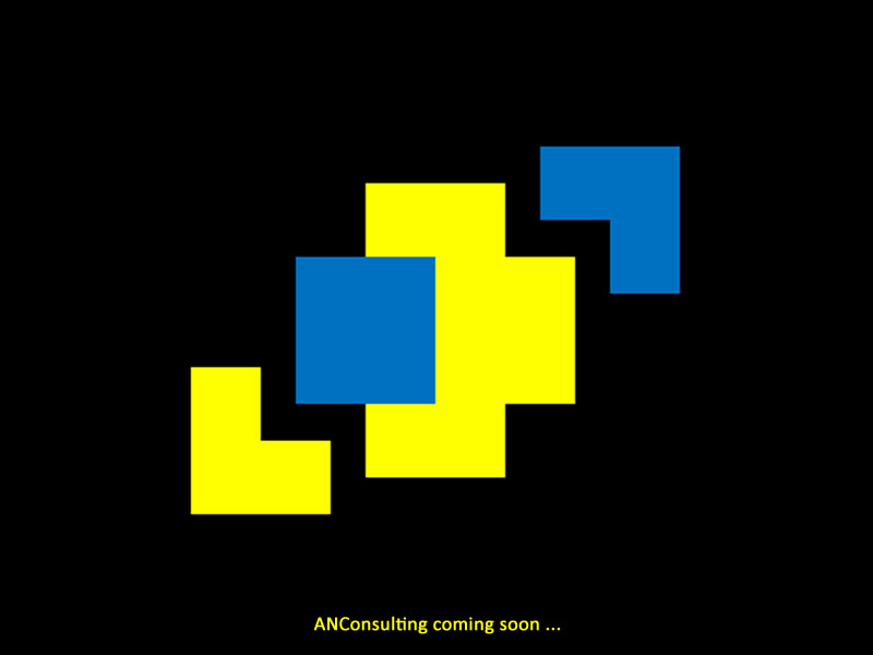 ANConsulting